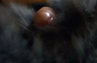 XXX Non aver paura che tuo marito video gay maturi gratis non sappia nulla