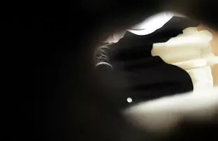 XXX Sesso video anziane pelose